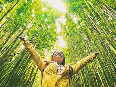 A girl wearing a yellow coat, celebrating in a bamboo forest