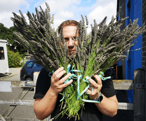 David holding up bunches of lavender